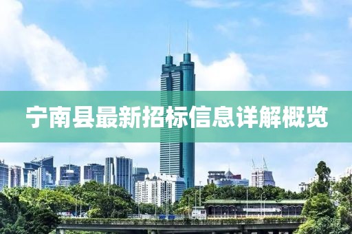 宁南县最新招标信息详解概览