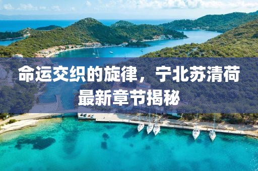 命运交织的旋律，宁北苏清荷最新章节揭秘