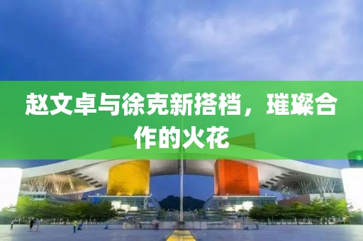 赵文卓与徐克新搭档，璀璨合作的火花