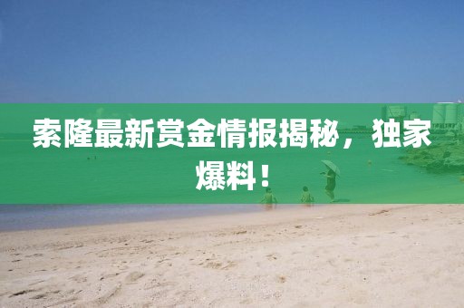 索隆最新赏金情报揭秘，独家爆料！