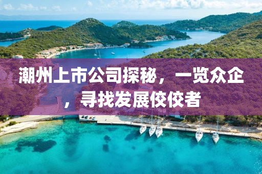 潮州上市公司探秘，一览众企，寻找发展佼佼者
