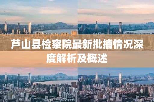 芦山县检察院最新批捕情况深度解析及概述