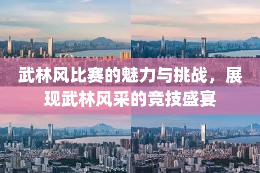 武林风比赛的魅力与挑战，展现武林风采的竞技盛宴