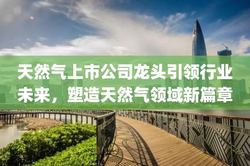 天然气上市公司龙头引领行业未来，塑造天然气领域新篇章
