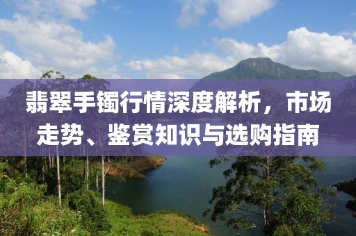 翡翠手镯行情深度解析，市场走势、鉴赏知识与选购指南