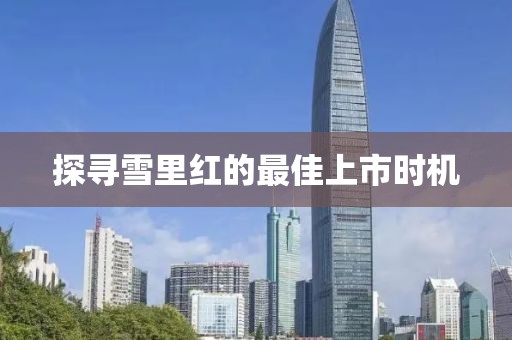 探寻雪里红的最佳上市时机
