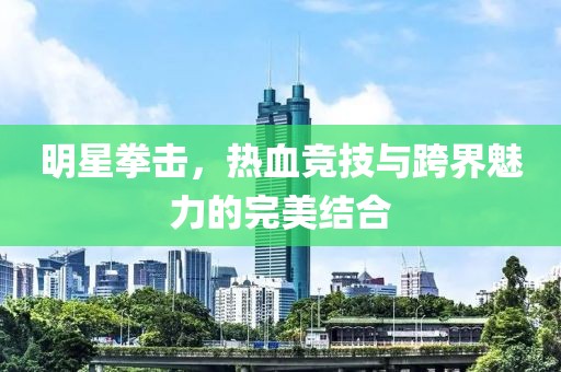 明星拳击，热血竞技与跨界魅力的完美结合