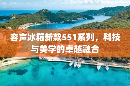 容声冰箱新款551系列，科技与美学的卓越融合