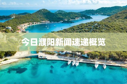 今日濮阳新闻速递概览
