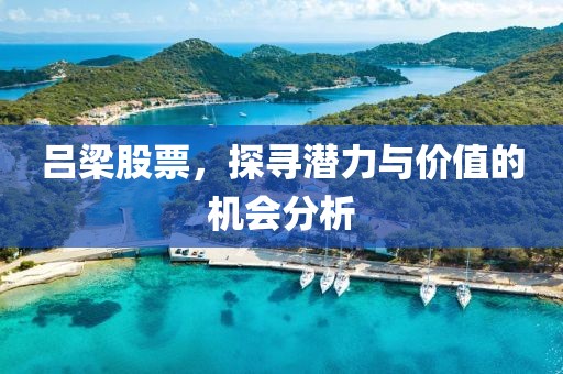 吕梁股票，探寻潜力与价值的机会分析