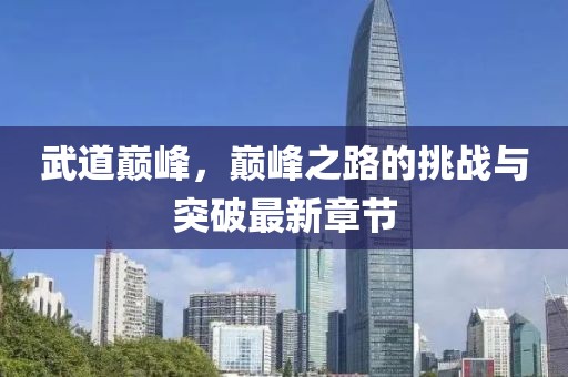 武道巅峰，巅峰之路的挑战与突破最新章节