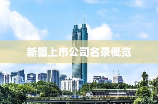 新疆上市公司名录概览