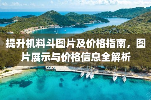 提升机料斗图片及价格指南，图片展示与价格信息全解析