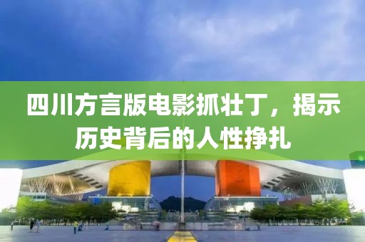 四川方言版电影抓壮丁，揭示历史背后的人性挣扎