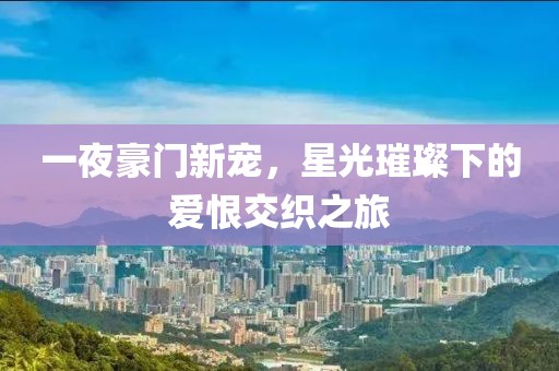 一夜豪门新宠，星光璀璨下的爱恨交织之旅