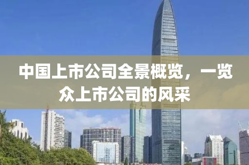 中国上市公司全景概览，一览众上市公司的风采