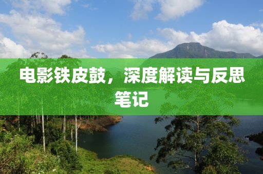 电影铁皮鼓，深度解读与反思笔记