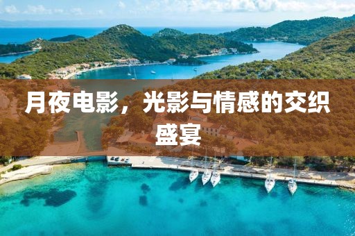 月夜电影，光影与情感的交织盛宴