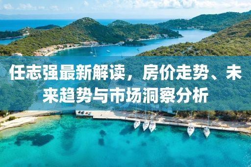 任志强最新解读，房价走势、未来趋势与市场洞察分析