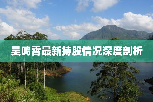 吴鸣霄最新持股情况深度剖析