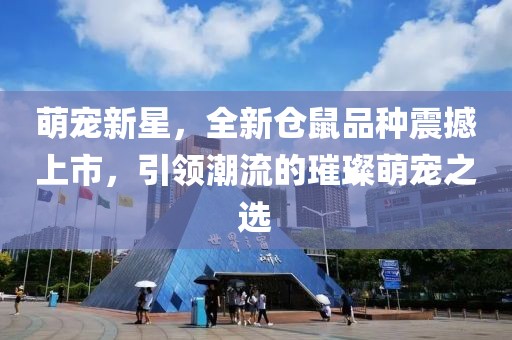 萌宠新星，全新仓鼠品种震撼上市，引领潮流的璀璨萌宠之选