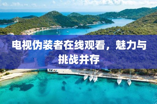 电视伪装者在线观看，魅力与挑战并存