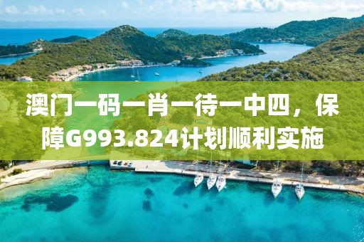 澳门一码一肖一待一中四，保障G993.824计划顺利实施