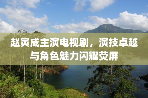 赵寅成主演电视剧，演技卓越与角色魅力闪耀荧屏