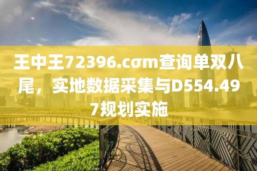 王中王72396.cσm查询单双八尾，实地数据采集与D554.497规划实施