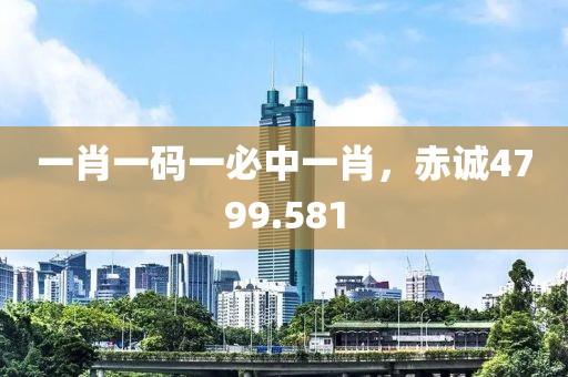 一肖一码一必中一肖，赤诚4799.581
