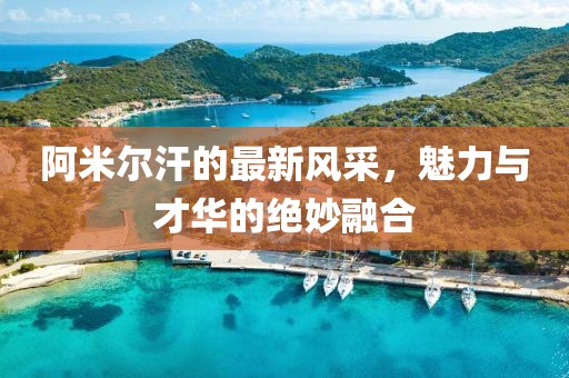 阿米尔汗的最新风采，魅力与才华的绝妙融合