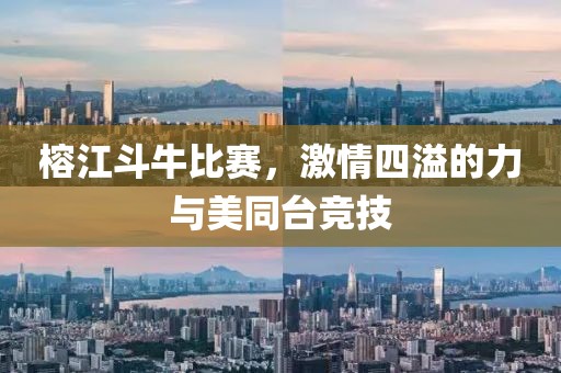 榕江斗牛比赛，激情四溢的力与美同台竞技