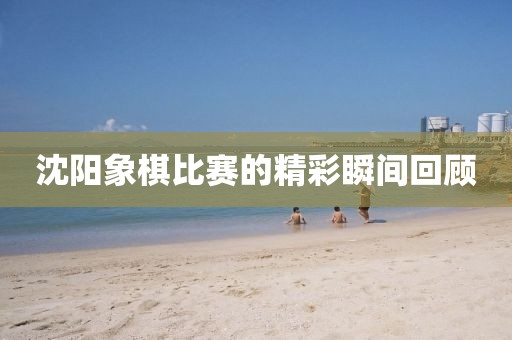 沈阳象棋比赛的精彩瞬间回顾