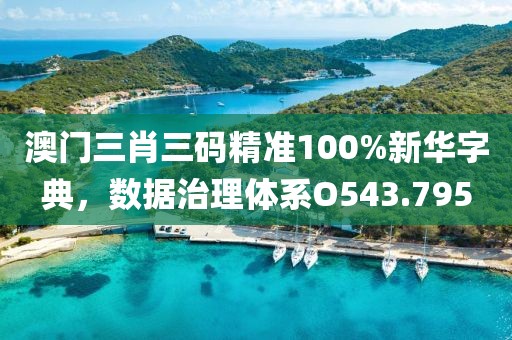 澳门三肖三码精准100%新华字典，数据治理体系O543.795