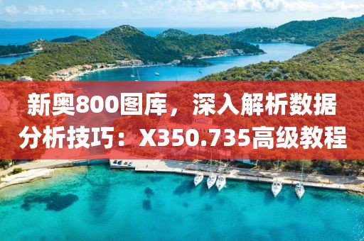 新奥800图库，深入解析数据分析技巧：X350.735高级教程