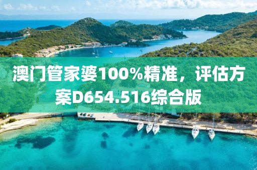 澳门管家婆100%精准，评估方案D654.516综合版