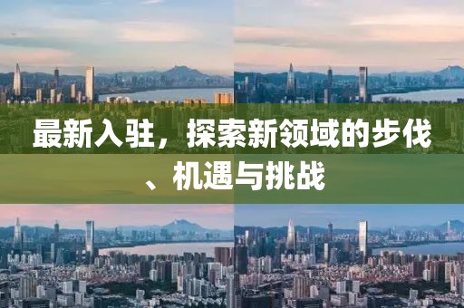最新入驻，探索新领域的步伐、机遇与挑战
