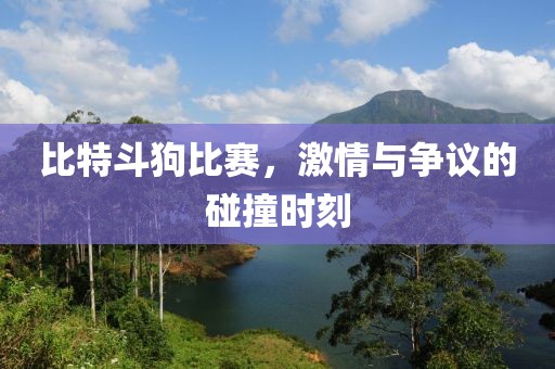 比特斗狗比赛，激情与争议的碰撞时刻