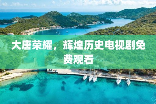 大唐荣耀，辉煌历史电视剧免费观看