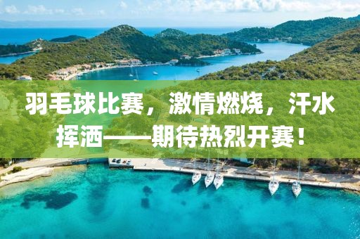 羽毛球比赛，激情燃烧，汗水挥洒——期待热烈开赛！
