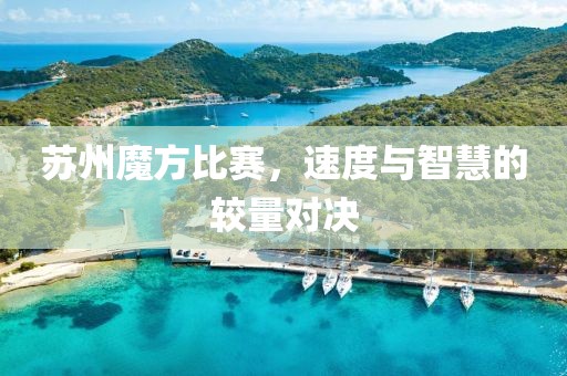 苏州魔方比赛，速度与智慧的较量对决
