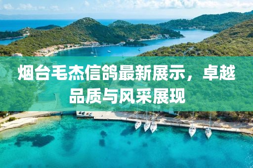 烟台毛杰信鸽最新展示，卓越品质与风采展现