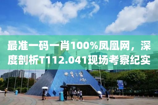 最准一码一肖100%凤凰网，深度剖析T112.041现场考察纪实