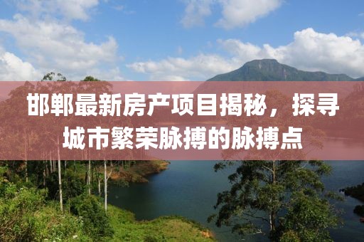 邯郸最新房产项目揭秘，探寻城市繁荣脉搏的脉搏点