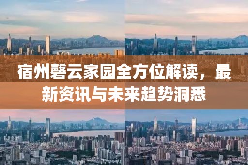 宿州磬云家园全方位解读，最新资讯与未来趋势洞悉
