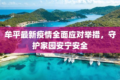 牟平最新疫情全面应对举措，守护家园安宁安全