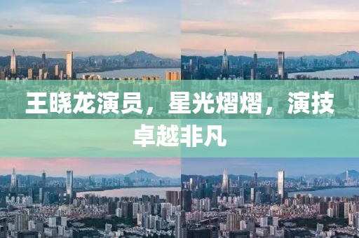 王晓龙演员，星光熠熠，演技卓越非凡