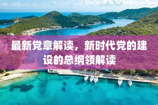 最新党章解读，新时代党的建设的总纲领解读