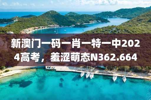 新澳门一码一肖一特一中2024高考，羞涩萌态N362.664