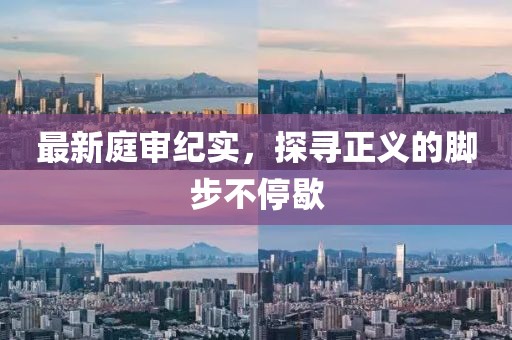 最新庭审纪实，探寻正义的脚步不停歇